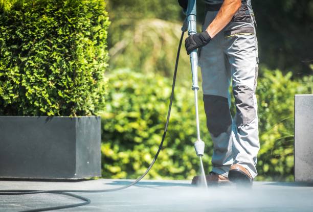 Best Animal Enclosure Cleaning  in Taylor, PA