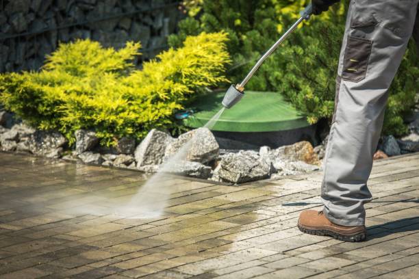 Best Winterizing Services  in Taylor, PA