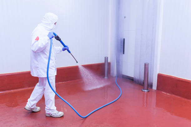 Best Pre-Holiday Cleaning  in Taylor, PA